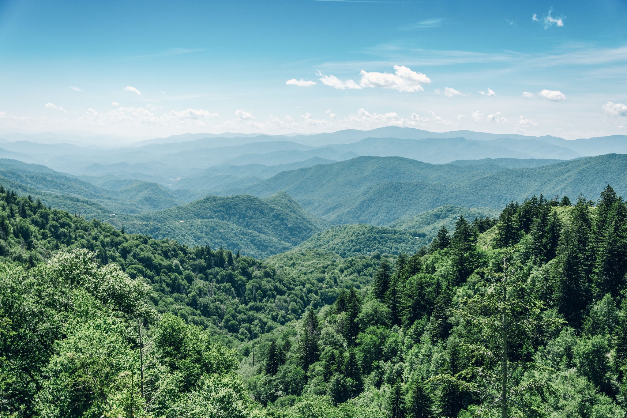 Great Smoky Mountains in Summer